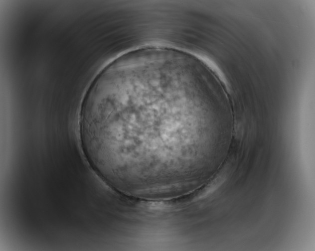 X0000088060903200705251340