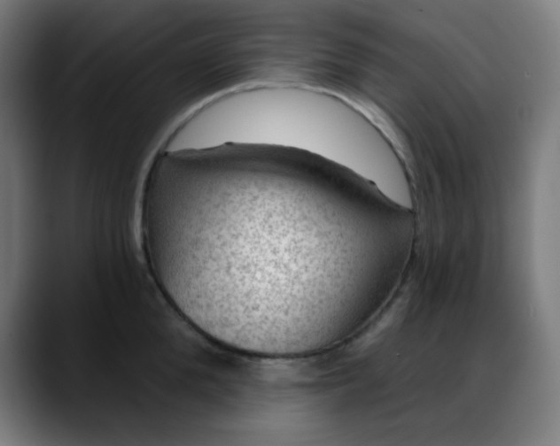 X0000088060904200705251340