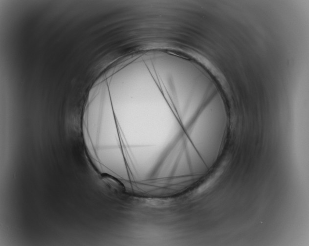 X0000088060905200705251340