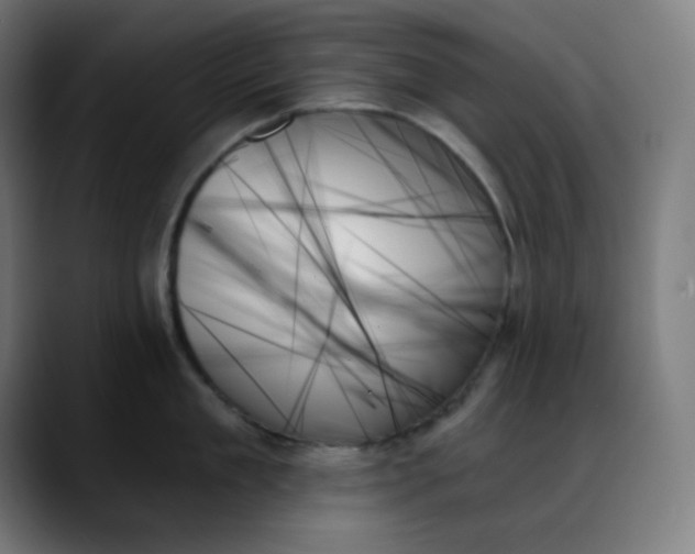 X0000088060909200705251340