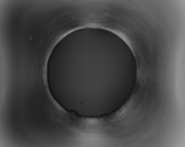 X0000088060911200705251340