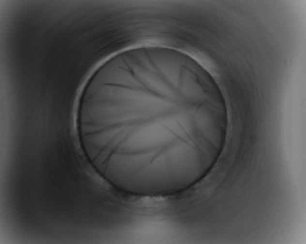X0000088060912200705251340