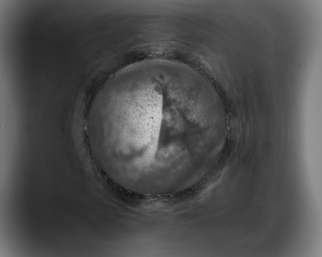 X0000088060913200705251339