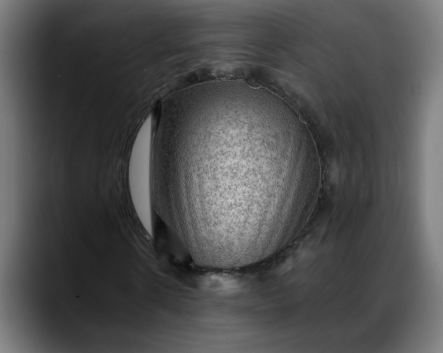 X0000088060914200705251339