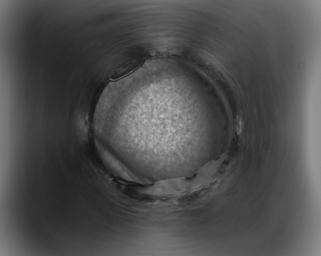 X0000088060915200705251339