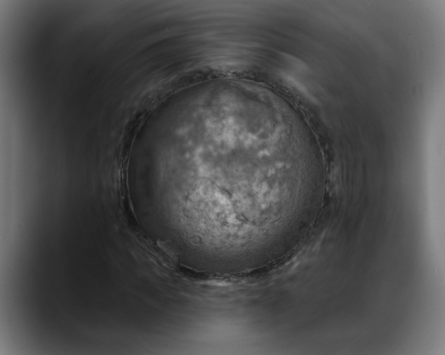 X0000088060917200705251339