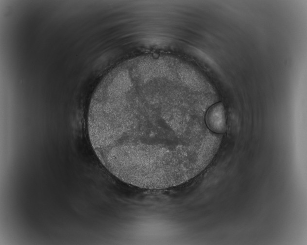 X0000088060918200705251339