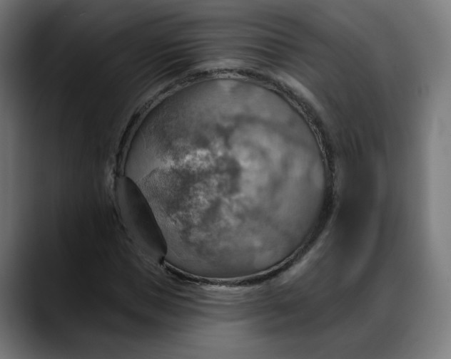 X0000088060921200705251339