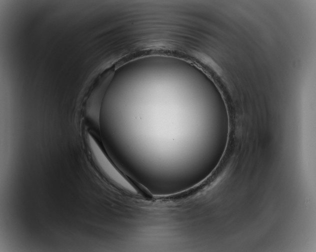X0000088060922200705251339