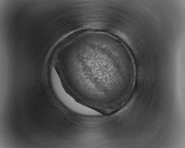 X0000088060923200705251339