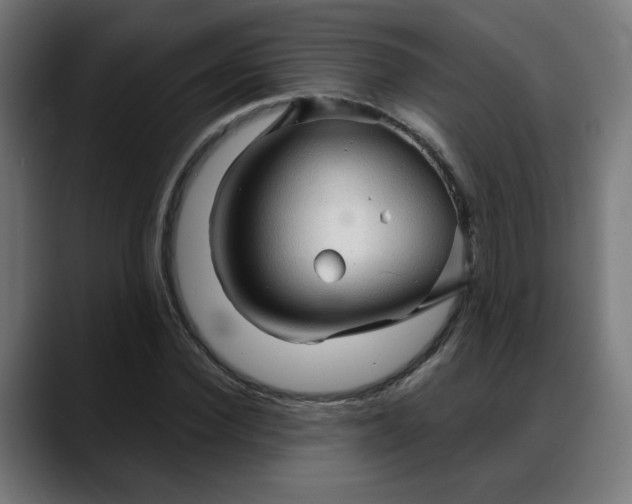 X0000088060924200705251339