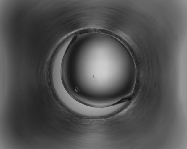 X0000088060926200705251339