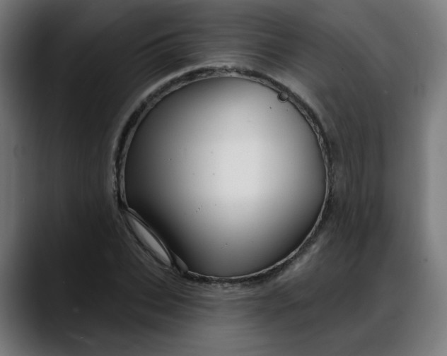 X0000088060927200705251339