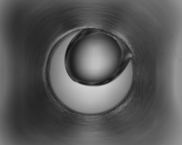 X0000088060928200705251339