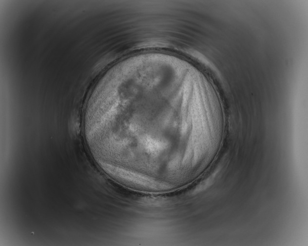 X0000088060929200705251339