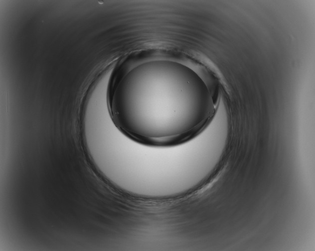 X0000088060930200705251339