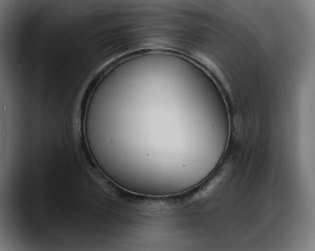 X0000088060931200705251339