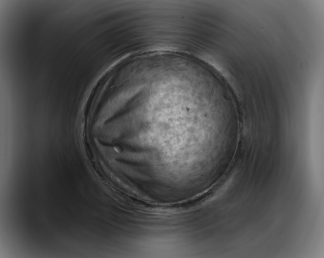 X0000088060933200705251339