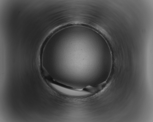 X0000088060934200705251339