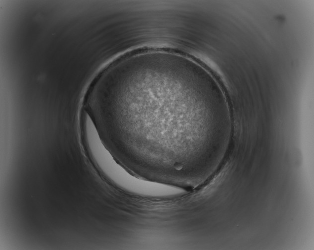 X0000088060935200705251339