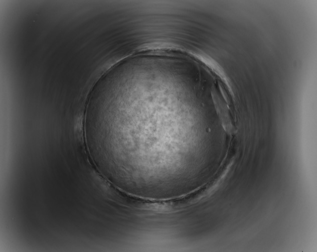 X0000088060937200705251339