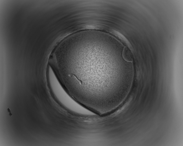 X0000088060938200705251339