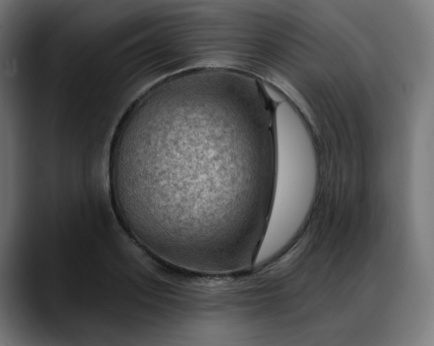 X0000088060939200705251339