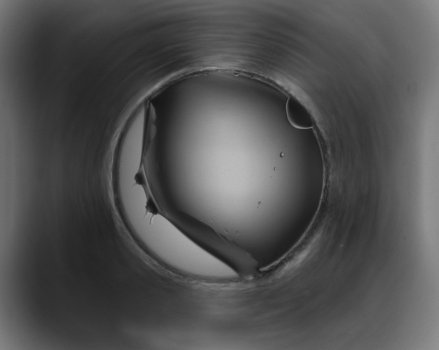 X0000088060941200705251339
