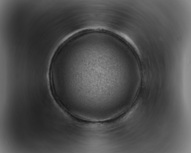 X0000088060943200705251339