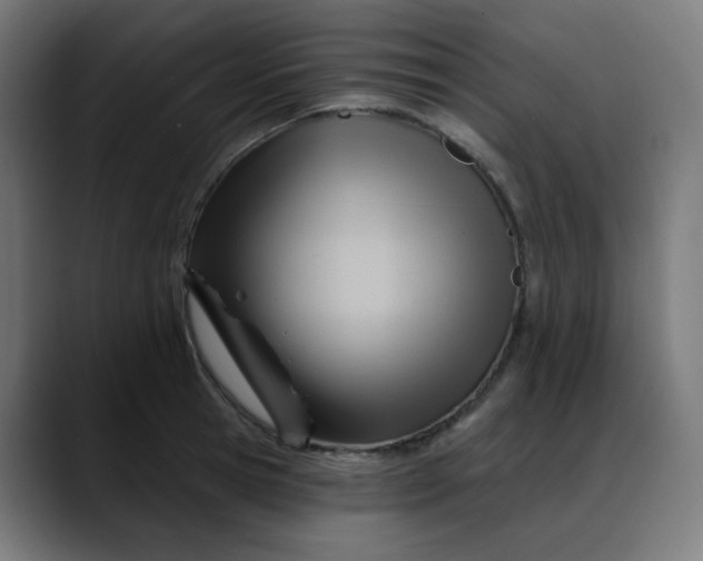 X0000088060945200705251339