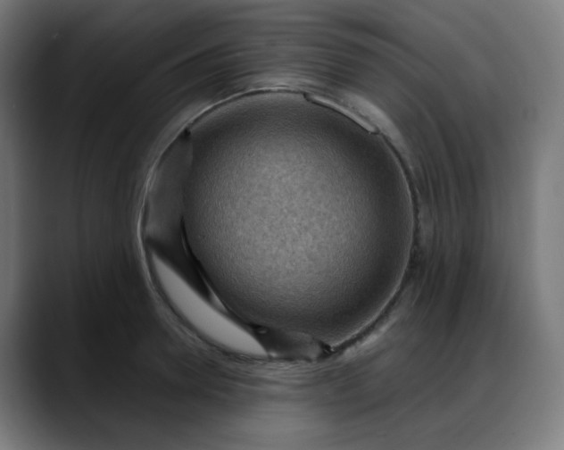X0000088060946200705251340