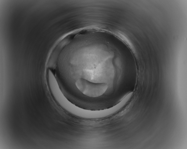 X0000088060948200705251340