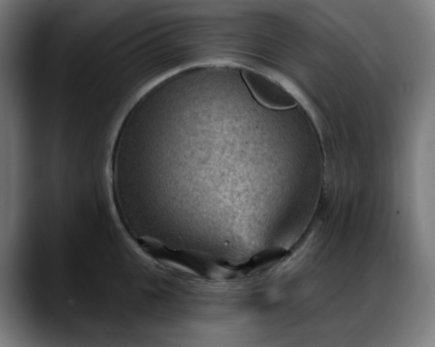 X0000088060951200705251340