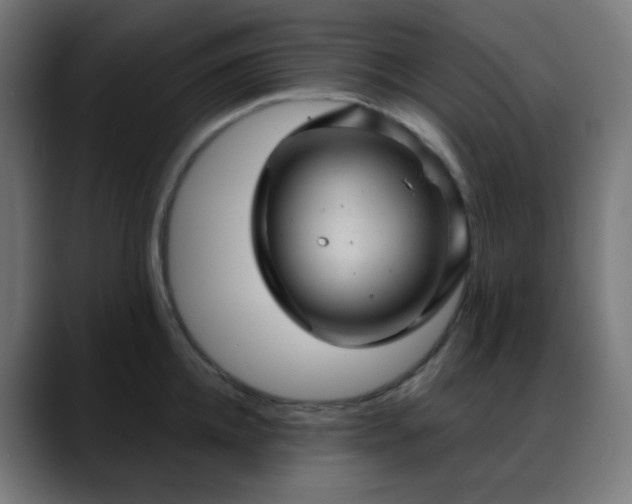 X0000088060952200705251340
