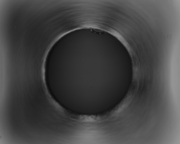 X0000088060955200705251340