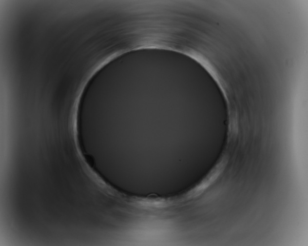 X0000088060957200705251340