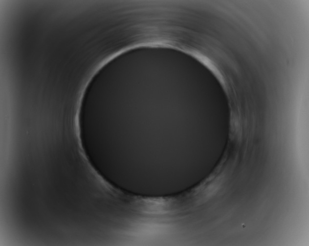 X0000088060959200705251340