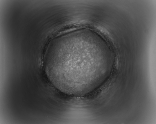 X0000088060966200705251339