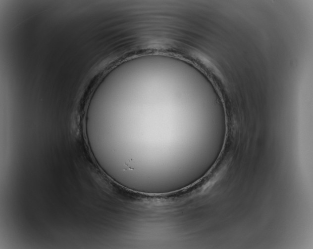 X0000088060970200705251339