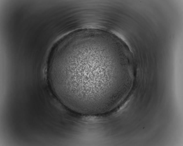 X0000088060971200705251339