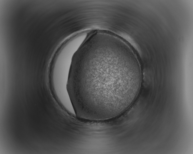 X0000088060972200705251339
