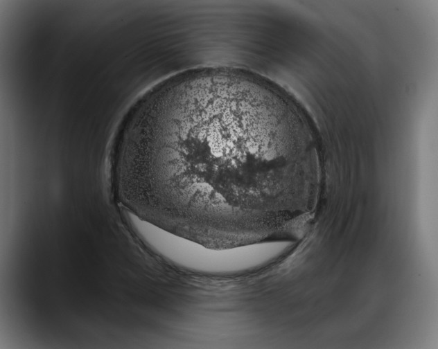X0000088060975200705251339