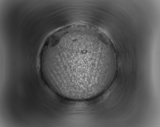 X0000088060979200705251339