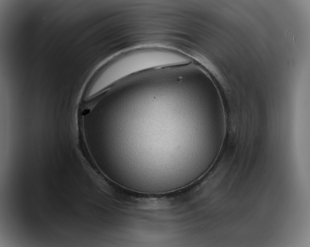 X0000088060980200705251339