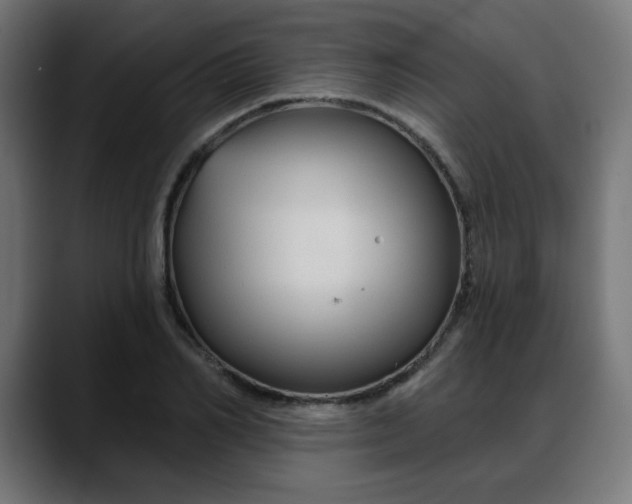 X0000088060982200705251339