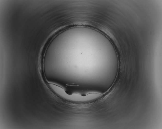 X0000088060984200705251339
