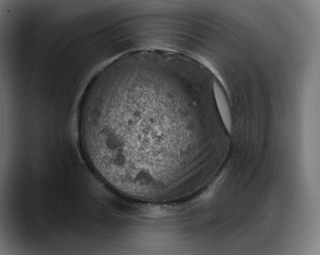 X0000088060987200705251339