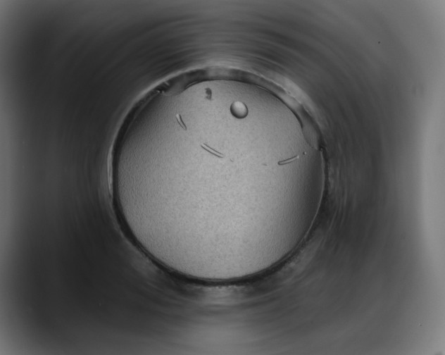 X0000088060988200705251339