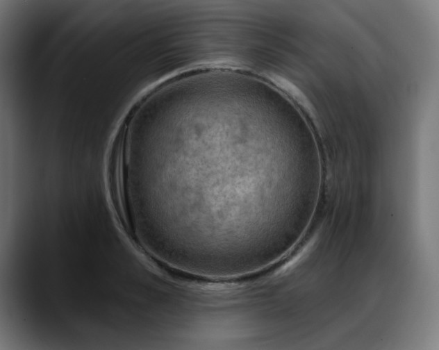 X0000088060989200705251339