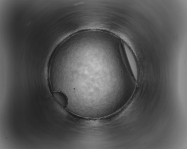 X0000088060990200705251339